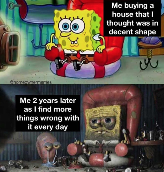 Meme 3